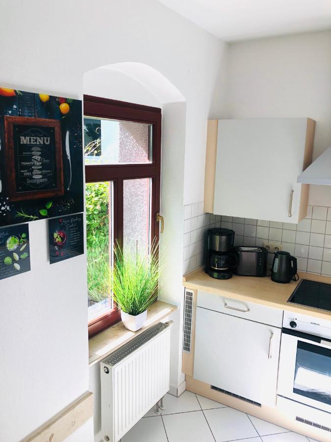 Ferienwohnungen Mit Terrasse In Zwingernaehe - Hilger Rentals Дрезден Екстериор снимка